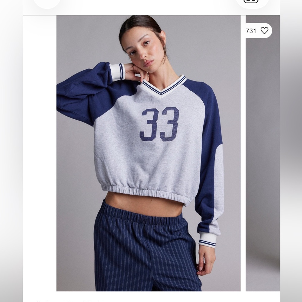 Urban Outfitters Gray and Blue Sweatshirt